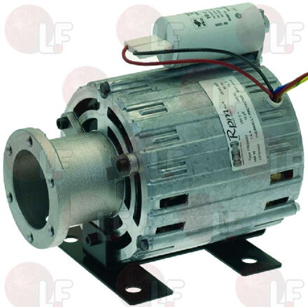 Motor