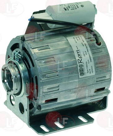 Motor